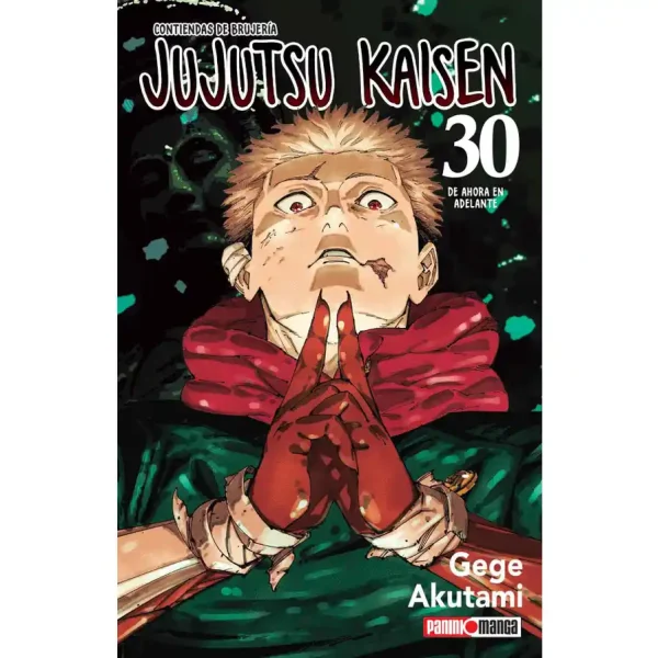 JUJUTSU KAISEN 30